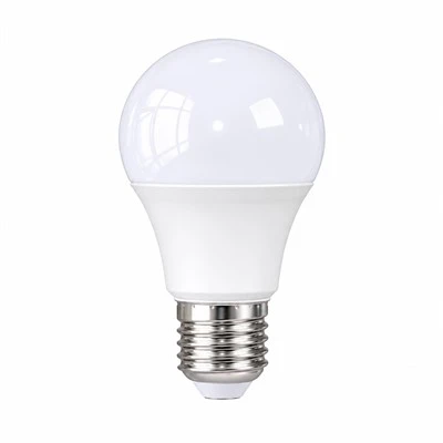 Bombillas LED grandes en forma de globo